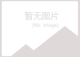 益阳赫山狼狈咨询有限公司